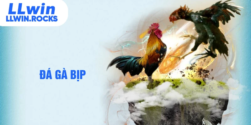 đá gà bịp