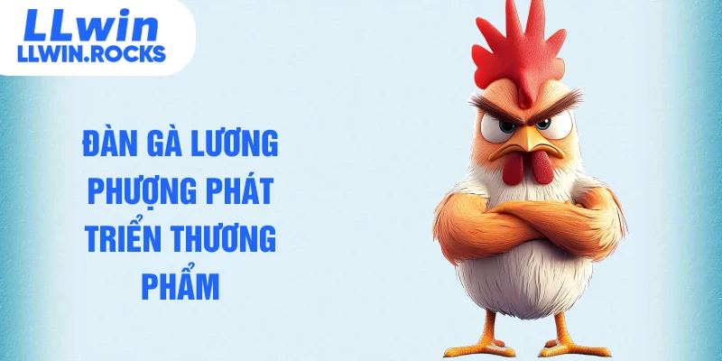 Đàn gà lương phượng phát triển thương phẩm