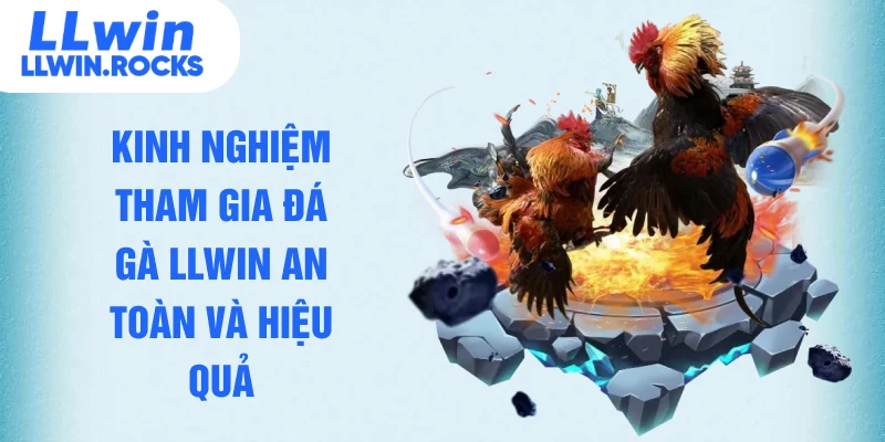 Kinh nghiệm tham gia đá gà LLWIN an toàn và hiệu quả